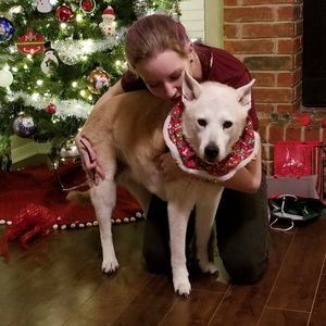 Meet your Posher, Tina